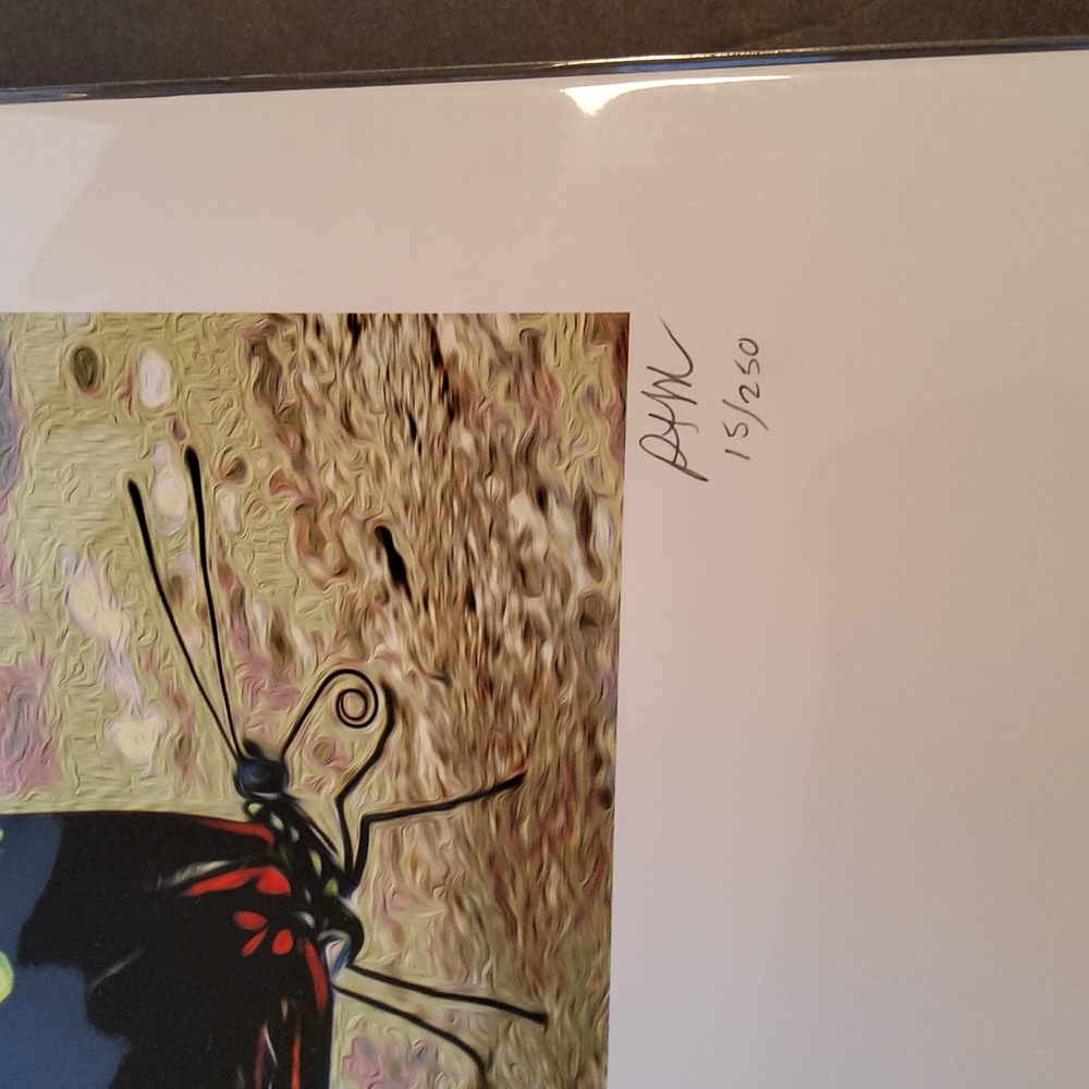 Butterfly print 15/250 Peter James Maurer - Picture 3 of 8